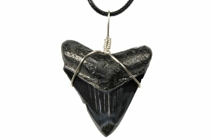 Fossil Megalodon Tooth Necklace #130959